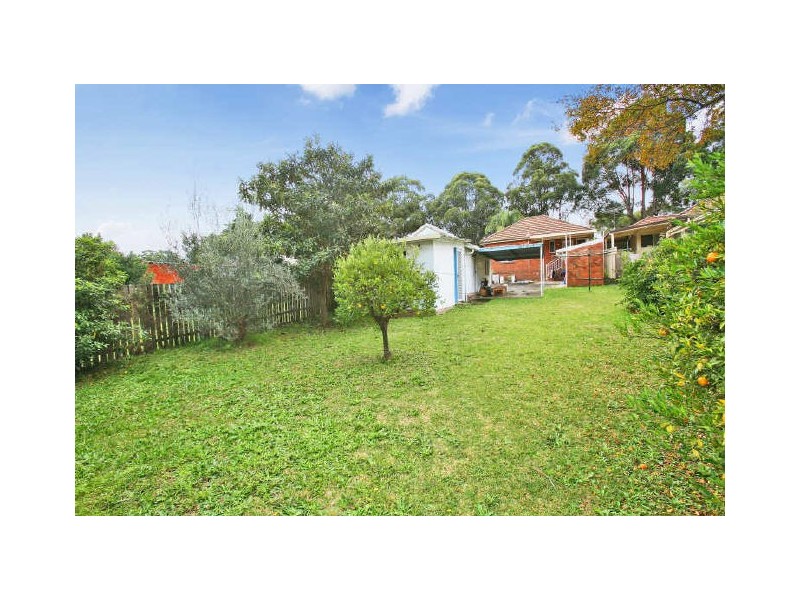 43 Cairns Street, Riverwood NSW 2210