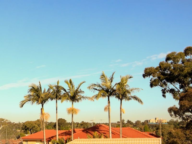 6/146 Victoria Road, Punchbowl NSW 2196