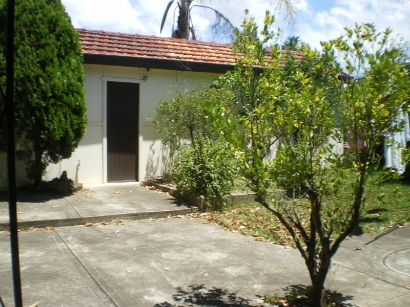 8 Thurlow Street, Riverwood NSW 2210