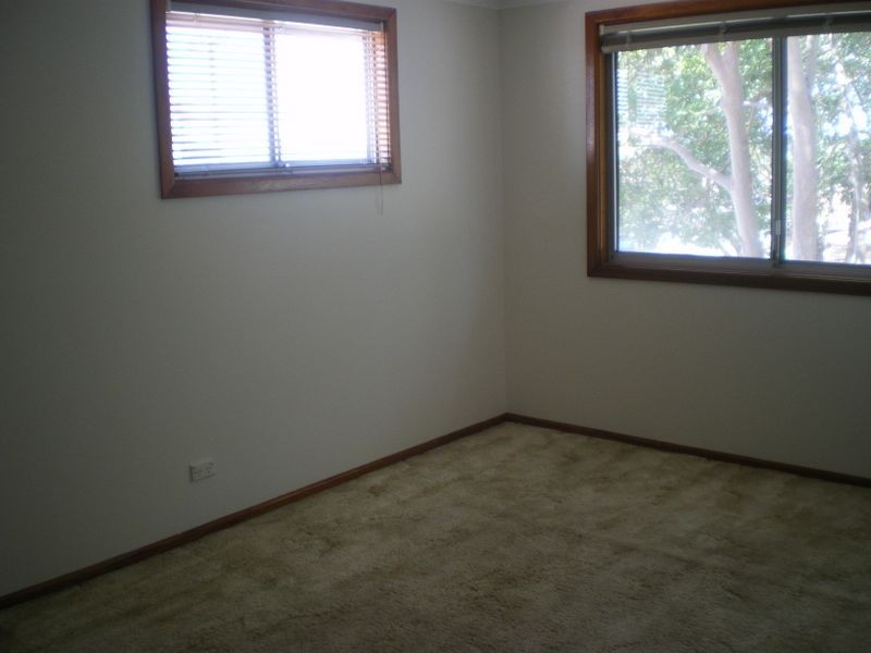 8 Thurlow Street, Riverwood NSW 2210