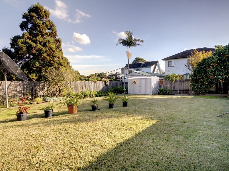 41 Napoleon Street, Riverwood NSW 2210