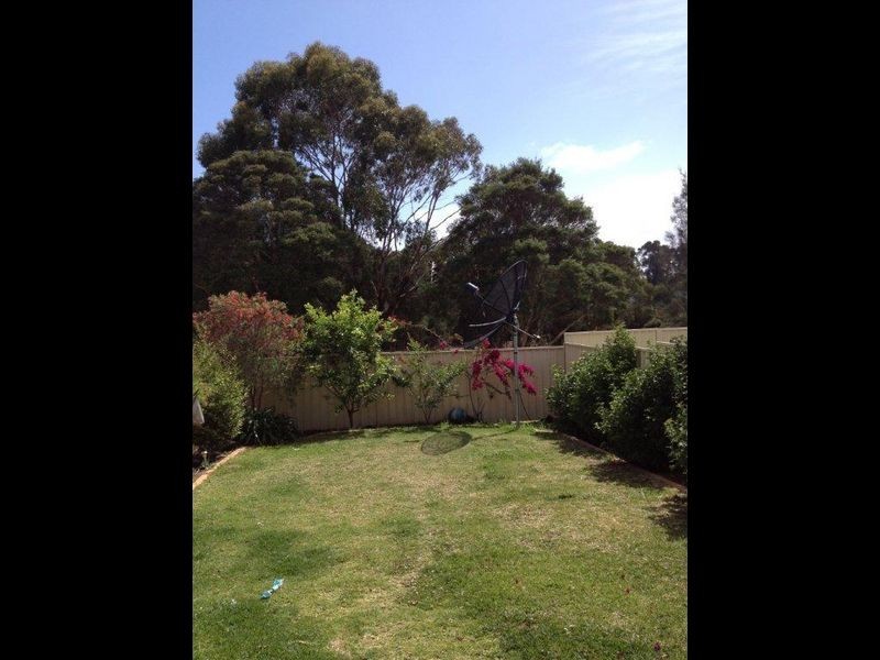 9 Earls Avenue, Riverwood NSW 2210