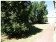 29 Digby Street, Kadina SA 5554