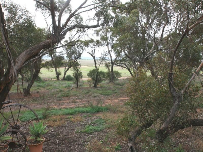 Sec 175 Ninnes Road, Bute SA 5560