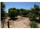 52 Wallaroo Road, North Moonta SA 5558