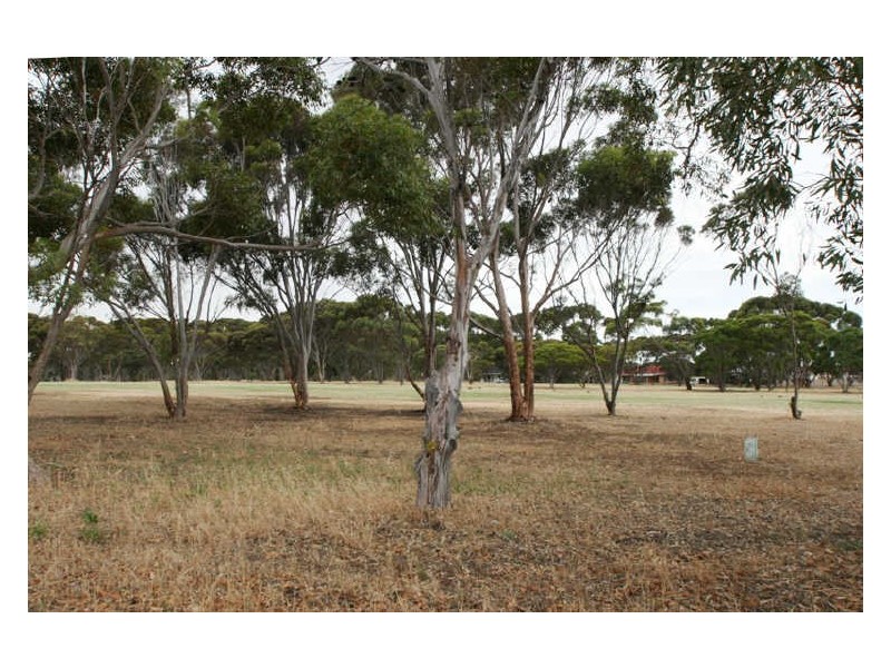 70 Tiddy Avenue, Maitland SA 5573