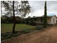 16 Moonta Road, Moonta Bay SA 5558