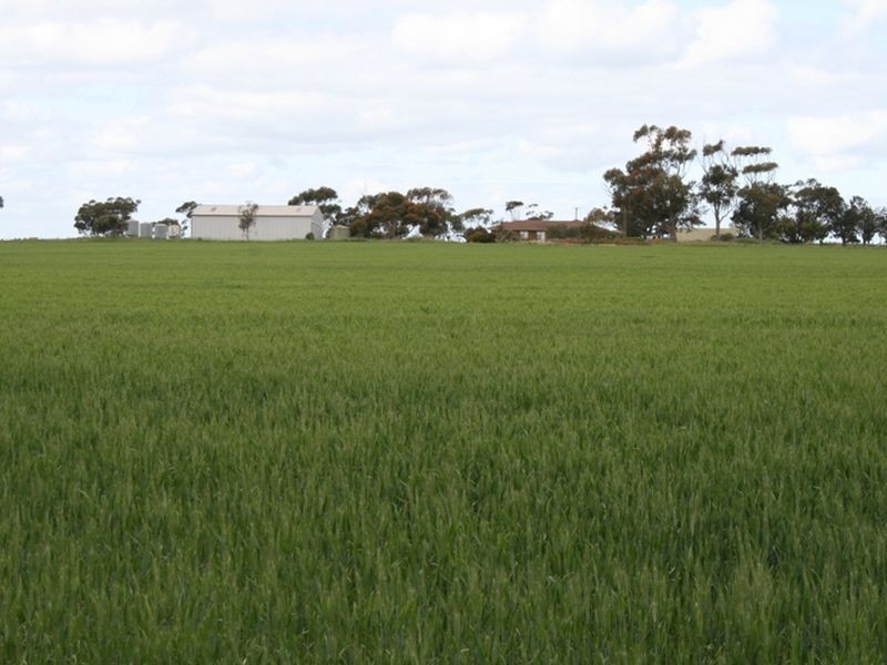 Section 30 Hundred of Tiparra, Moonta SA 5558