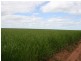 Section 30 Hundred of Tiparra, Moonta SA 5558