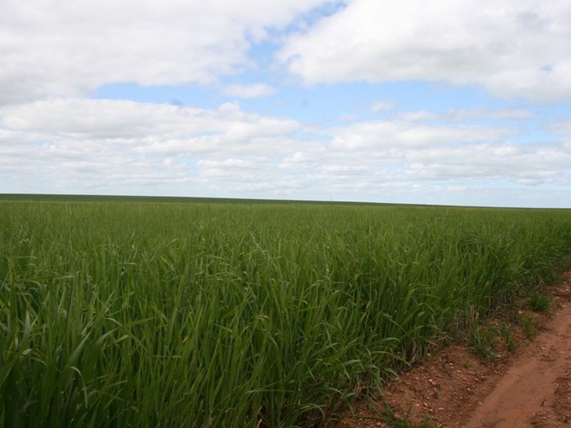 Section 30 Hundred of Tiparra, Moonta SA 5558