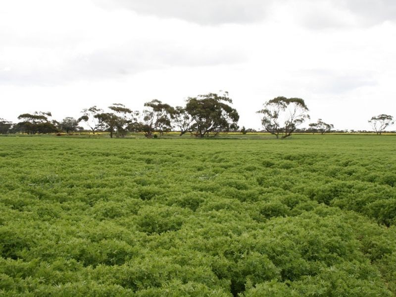 Section 30 Hundred of Tiparra, Moonta SA 5558