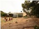 20 Kadina Road, Moonta SA 5558