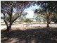 43 Milne Terrace, Moonta SA 5558