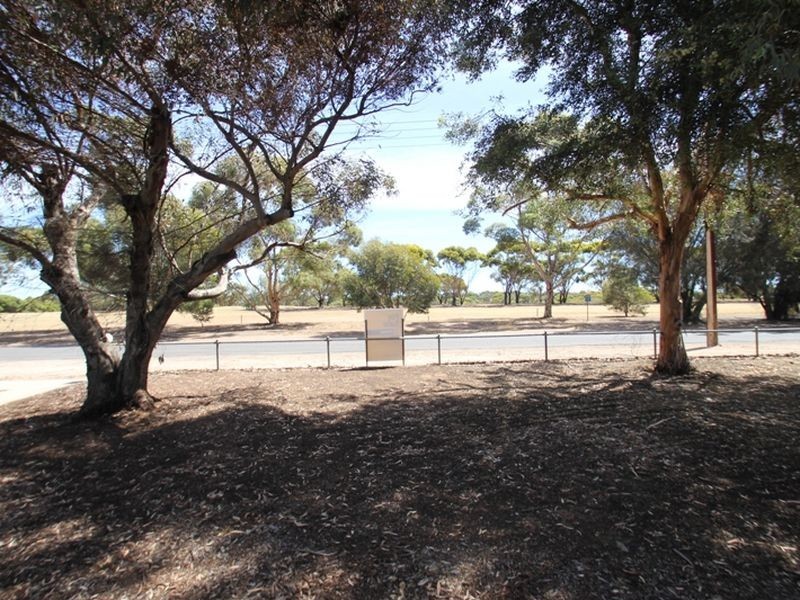 43 Milne Terrace, Moonta SA 5558