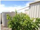 3 Hazel Street, Moonta Bay SA 5558