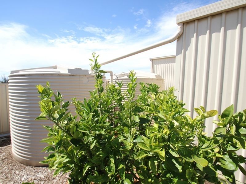 3 Hazel Street, Moonta Bay SA 5558
