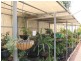 19 First Street, North Moonta SA 5558