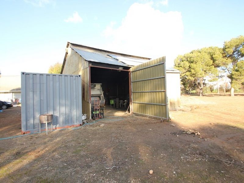 40 Railway Terrace, Paskeville SA 5552