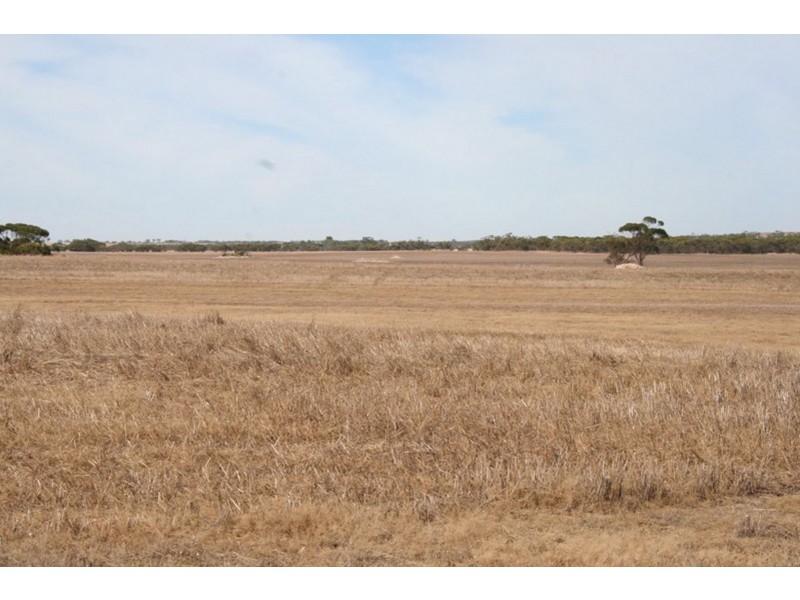 Pt Sec 189 Hundred of Tipara, Arthurton SA 5572