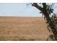 Pt Sec 189 Hundred of Tipara, Arthurton SA 5572