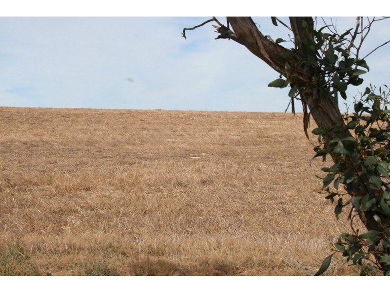 Pt Sec 189 Hundred of Tipara, Arthurton SA 5572