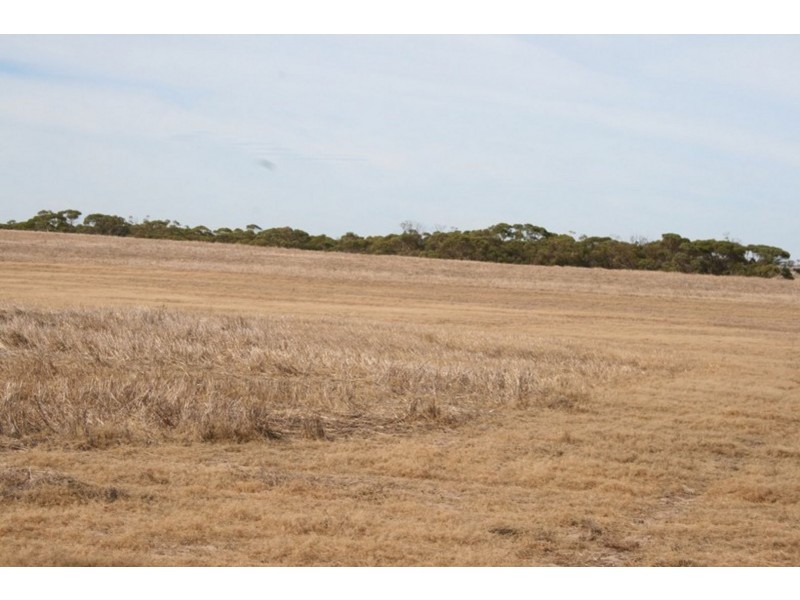 Pt Sec 189 Hundred of Tipara, Arthurton SA 5572