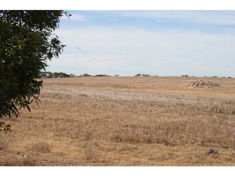 Pt Sec 189 Hundred of Tipara, Arthurton SA 5572