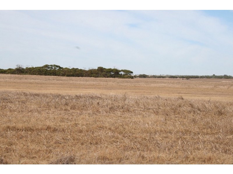 Pt Sec 189 Hundred of Tipara, Arthurton SA 5572