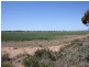 Sec 1155 Binney Road, North Moonta SA 5558