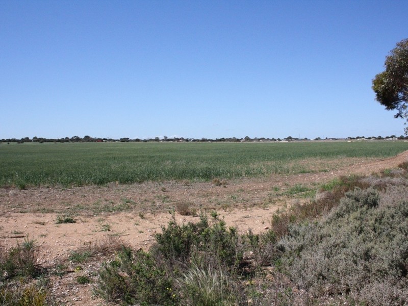 Sec 1155 Binney Road, North Moonta SA 5558