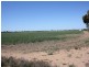 Sec 1155 Binney Road, North Moonta SA 5558
