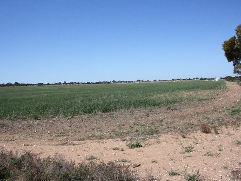 Sec 1155 Binney Road, North Moonta SA 5558