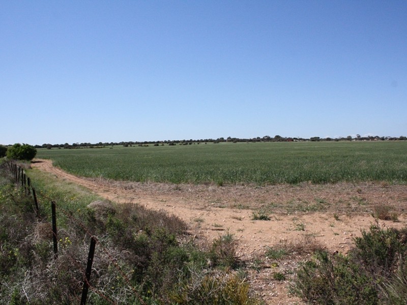 Sec 1155 Binney Road, North Moonta SA 5558