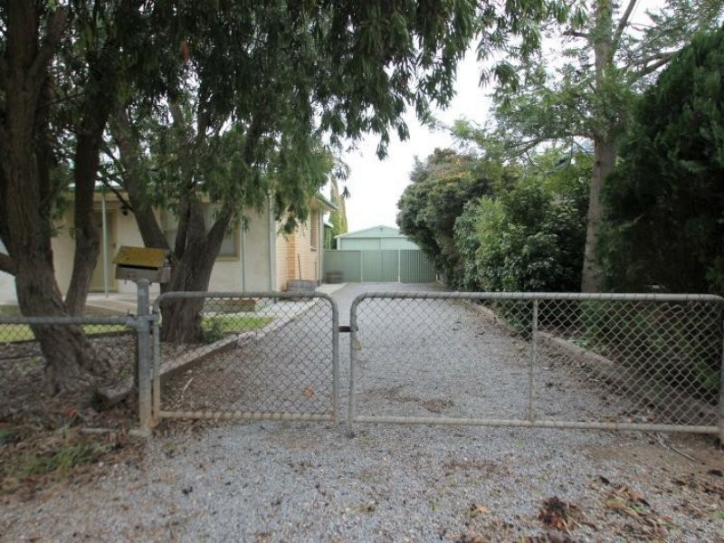 62 Tiddy Avenue, Maitland SA 5573