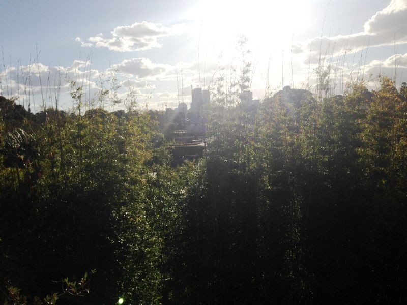 156 Penshurst Street, Willoughby NSW 2068