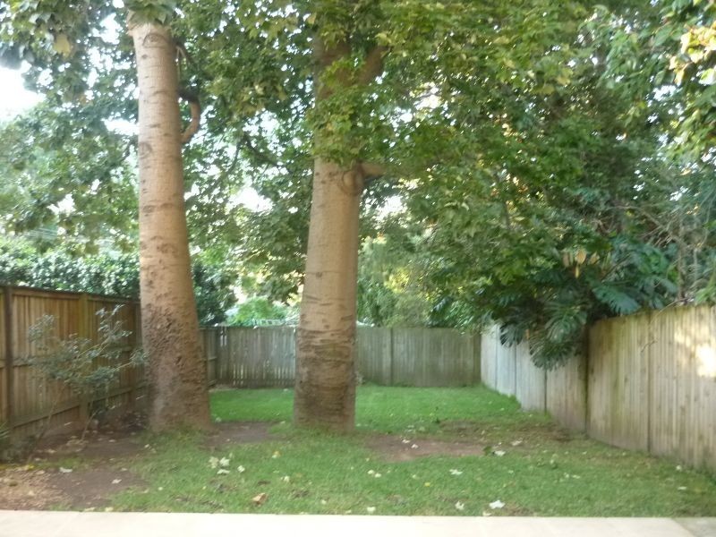 19 Finlayson Street, Lane Cove NSW 2066