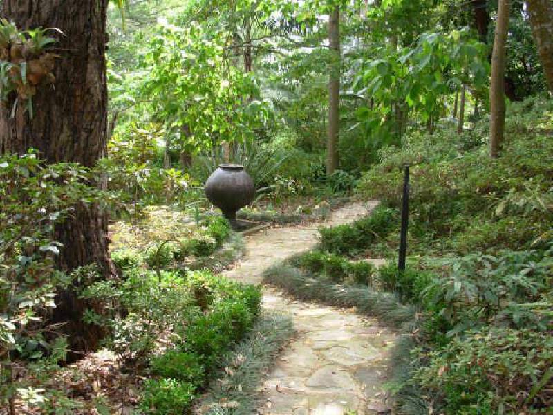 43 Wilfred Avenue, Chatswood NSW 2067