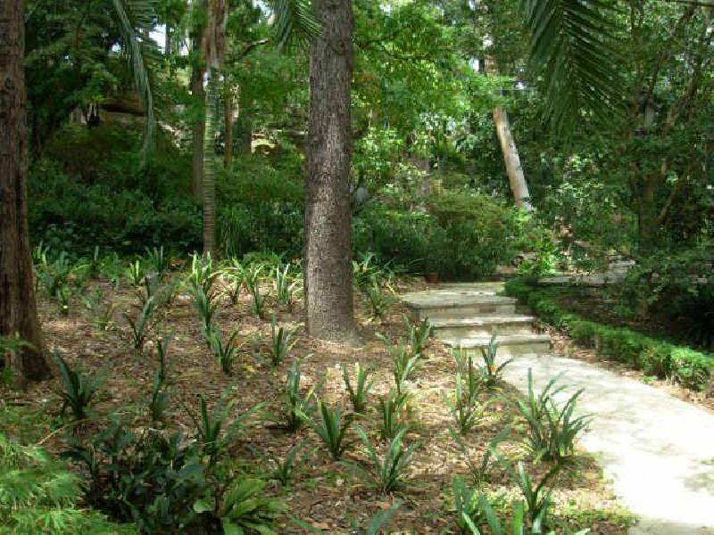 43 Wilfred Avenue, Chatswood NSW 2067