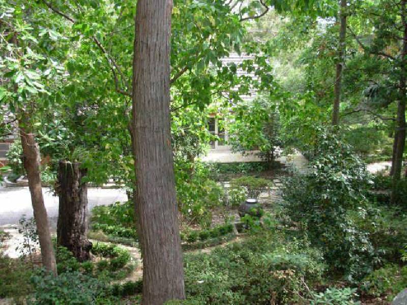 43 Wilfred Avenue, Chatswood NSW 2067