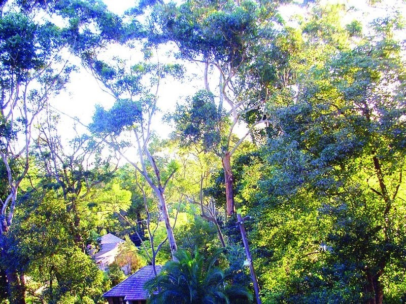 5/818 Pacific Highway, Chatswood NSW 2067