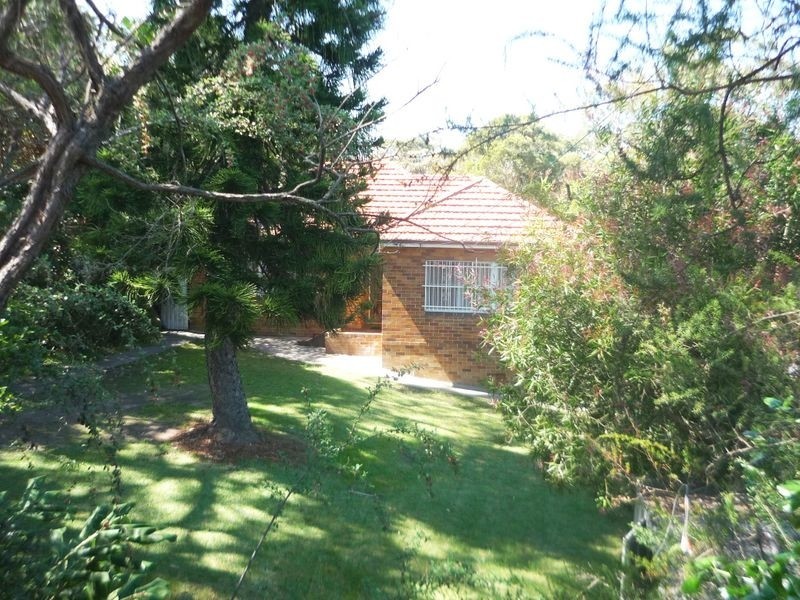 97 Eastern Valley Way, Willoughby NSW 2068