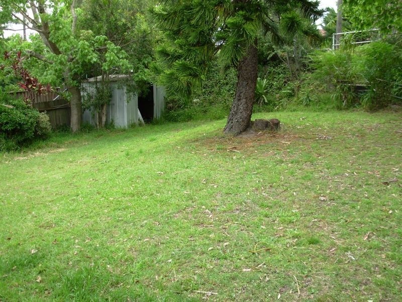 97 Eastern Valley Way, Willoughby NSW 2068