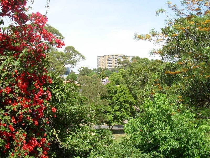 4 Buller Road, Artarmon NSW 2064