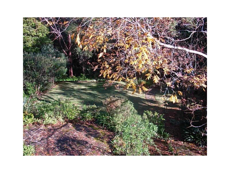 29 De Villiers Avenue, Chatswood NSW 2067