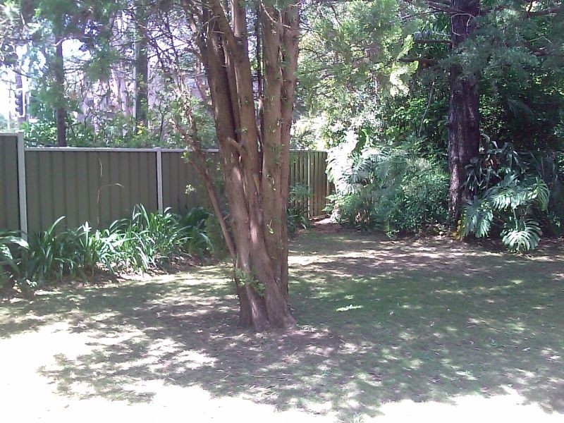 1 Buckingham Road, Killara NSW 2071