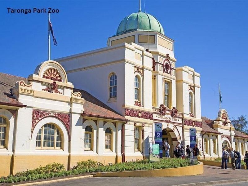 25/9 Mandolong Road, Mosman NSW 2088