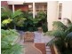 303 Penshurst Street, Willoughby NSW 2068