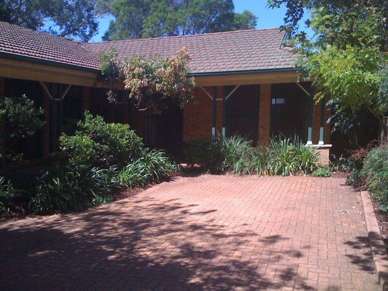 111A Greville Street, Chatswood NSW 2067