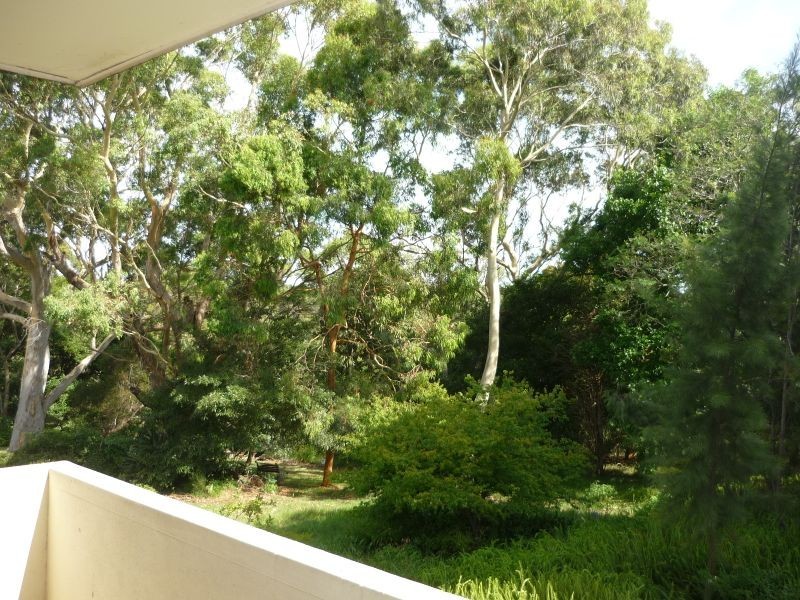 38 Cope Street, Lane Cove NSW 2066