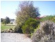 35 Freer Street, Shearwater TAS 7307